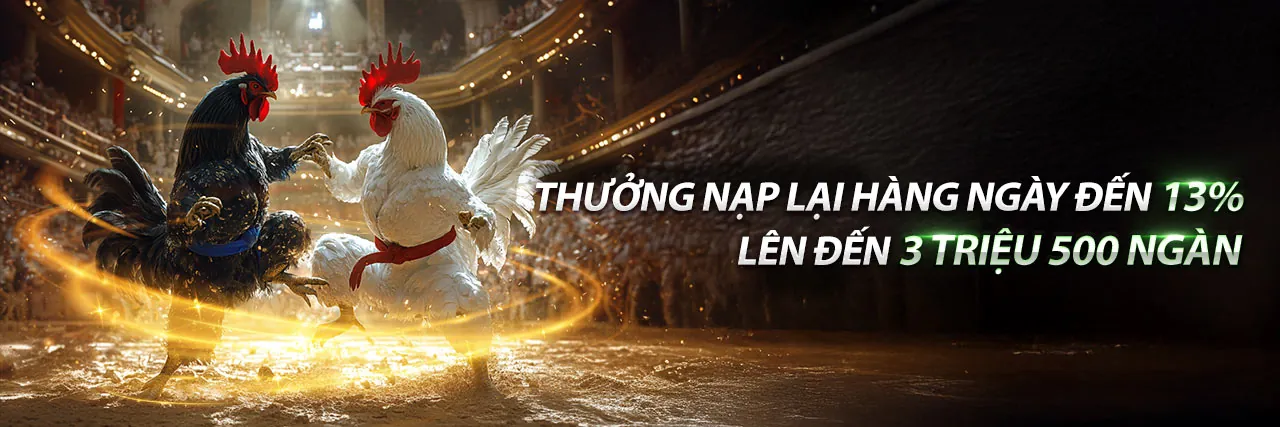 Gà chọi trên đấu trường, biểu tượng cho luật đá gà 88t Trang Chủ
