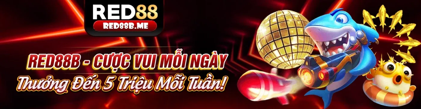 Hình ảnh chính về phân tích cá cược thể thao trên 88t Trang Chủ