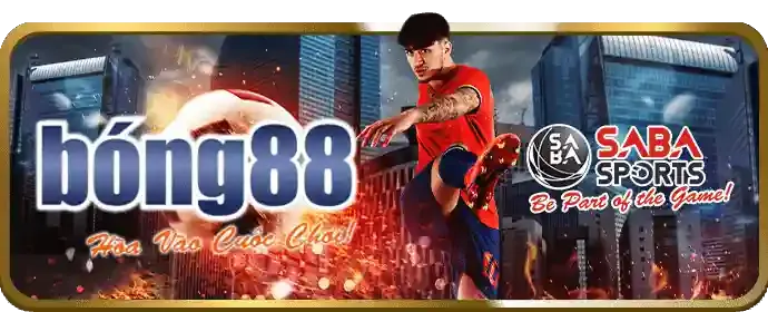 Tổng quan về 88t Trang Chủ